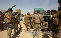Iraq mở chiến dịch tấn công IS gần biên giới Syria