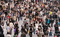 OECD hối thúc Nhật Bản cải cách lao động