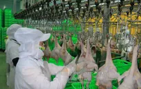 Giới chuyên gia đánh giá triển vọng đầu tư châu Âu vào Việt Nam sau EVFTA