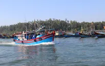 Quảng Bình kiểm soát khai thác hải sản tận diệt
