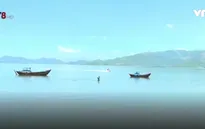 Nhức nhối nạn khai thác thủy sản tận diệt tại Khánh Hòa