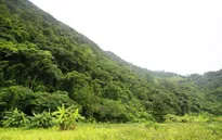 Vẻ đẹp núi rừng trên dãy Trường Sơn