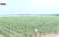 Công bố chỉ số kinh tế nông, lâm nghiệp, thủy sản 2016