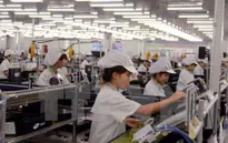 Bloomberg nhận định năm 2017 kinh tế Việt Nam tăng trưởng nhanh