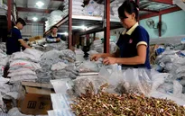 Việt Nam chuẩn bị đón “làn sóng” đầu tư từ châu Âu nhờ EVFTA
