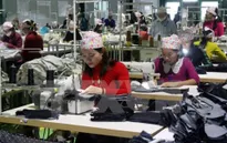 Gia tăng thất nghiệp ở lao động nữ