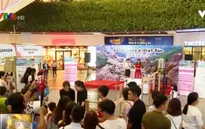 Lượng khách du lịch Việt Nam - Nhật Bản gia tăng nhanh chóng