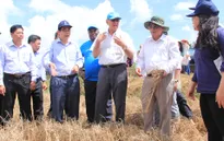 Liên Hợp Quốc hỗ trợ Việt Nam đảm bảo sinh kế bền vững
