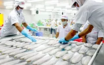 Nhìn lại một năm Hiệp định thương mại tự do Việt Nam - Liên minh kinh tế Á Âu có hiệu lực