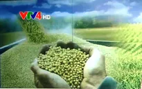 Việt Nam đạt tiến bộ vượt bậc về an ninh lương thực