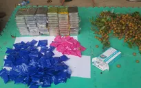 Hà Nội: Thu giữ 15 bánh heroin và 2.000 viên ma túy tổng hợp