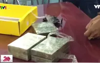 TP.HCM triệt phá 3 đường dây vận chuyển, buôn bán ma túy