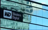 Western Digital: Toshiba sẽ vi phạm hợp đồng nếu bán mảng chip