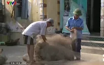 Cuộc sống khó khăn của ngư dân huyện Tĩnh Gia, Thanh Hóa