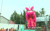 Niềm đam mê Lân Sư Rồng của phái nữ