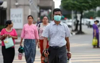 Dịch cúm gia cầm H5N1 tại Myanmar đã được kiểm soát