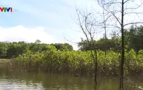 TT-Huế: Hàng trăm hộ dân miền núi mất đất sản xuất do ngập úng