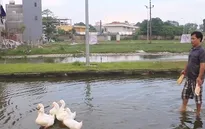Khu dân cư quanh năm ngập nước tại Hà Nội
