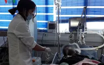 Lai Châu: 7 người tử vong, 11 người cấp cứu nghi bị ngộ độc thực phẩm