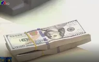 Tín dụng ngoại tệ 8 tháng đầu năm tăng