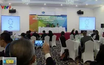 Nguy cơ sụt giảm nguồn nước trước tác động của biến đổi khí hậu