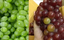 Nho Ninh Thuận - Đặc sản của vùng nắng gió
