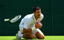 Djokovic xác nhận bỏ giải quần vợt Mỹ mở rộng 2017, nghỉ hết năm