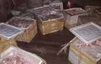 Nam Định: Bắt giữ hơn 1 tấn mỡ động vật không rõ nguồn gốc