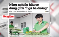 Người tiêu dùng "khát" sản phẩm nông nghiệp hữu cơ