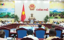 Đẩy mạnh sắp xếp lại các công ty nông, lâm nghiệp