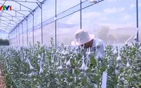 Đã giải ngân hơn 32.000 tỷ gói tín dụng ưu đãi nông nghiệp