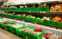 Xuất khẩu nông sản tháng 7 đạt 1,68 tỷ USD