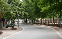 Hà Nội: Hoãn tổ chức phố đi bộ Trịnh Công Sơn đến tháng 10