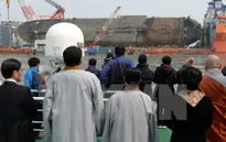 Hàn Quốc: Di hài được tìm thấy từ phà Sewol không phải của người