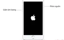 Cách sửa lỗi iPhone, iPad bị treo máy