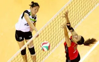 Giải bóng chuyền nữ quốc tế Cúp VTV9 - Bình Điền 2017: Giải đấu của những ngôi sao