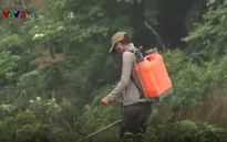 Quảng Trị: Nguy cơ ô nhiễm nguồn nước từ thuốc diệt cỏ