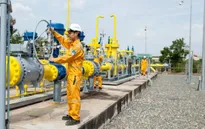 Giá dầu giảm, DN dầu khí chuyển hướng đầu tư ngoài ngành