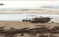 Rác tràn ngập bãi biển Nha Trang