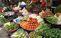 Xuất khẩu rau quả tăng mạnh