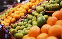 Lần đầu tiên xuất khẩu rau quả vượt dầu thô