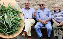 Acciaroli (Italy) - Thị trấn sống thọ nhất thế giới