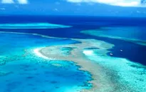 Rạn san hô Great Barrier thoát danh sách di sản bị nguy cấp
