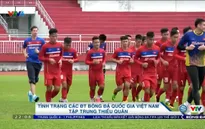 Tình trạng các ĐTQG Việt Nam tập trung thiếu quân