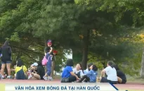 FIFA U20 thế giới 2017 và văn hóa cổ vũ bóng đá của CĐV Hàn Quốc