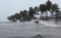 Siêu bão Irma tàn phá nghiêm trọng các đảo ở Caribe