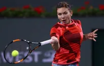 Indian Wells 2017: Radwanska và Halep bị loại, Kerber nhọc nhằn đi tiếp