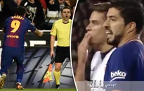 Chửi trọng tài, Luis Suarez sắp mang họa cho Barcelona