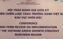 Việt Nam đã đạt một số thành tựu về tăng trưởng xanh