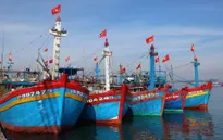 Thủ tướng chỉ thị ngăn chặn khai thác hải sản bất hợp pháp